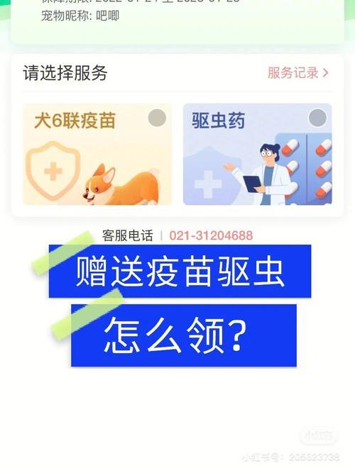 10109955是什么电话？中国移动客服告诉你