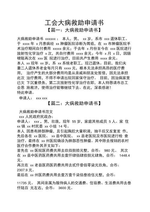 办大病救助去哪里申请？