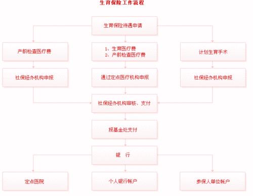 生育险怎么报销？流程、材料、注意事项全解析