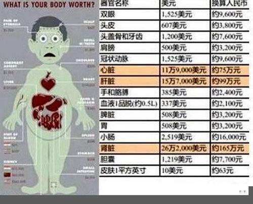 合法市场一个肾多少钱？