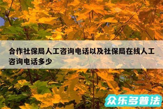 社保24小时人工服务，让你随时随地解决社保问题