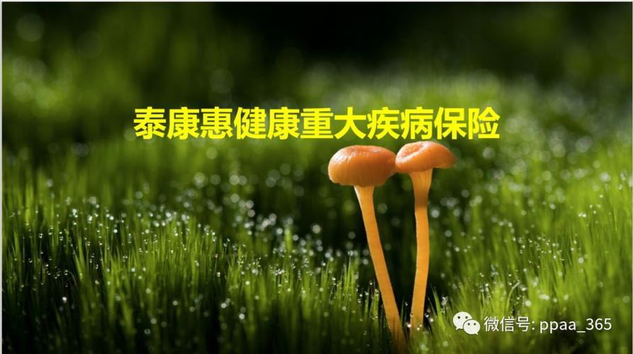 泰康保险公司可靠吗？看完这篇文章你就知道了