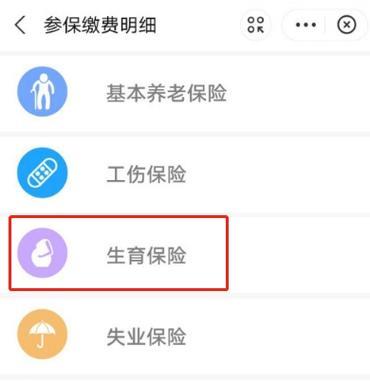 生育险怎么查？教你三种方法快速查询生育险缴费情况