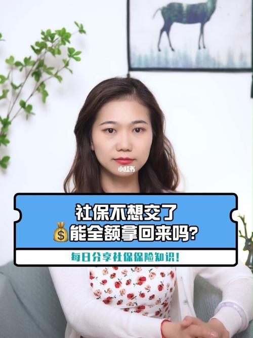 保险交了三年不想交了怎么办？