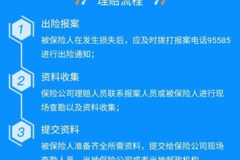 95585是哪个保险公司？