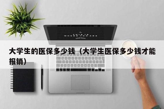 大学生看病自费后还能报销吗？