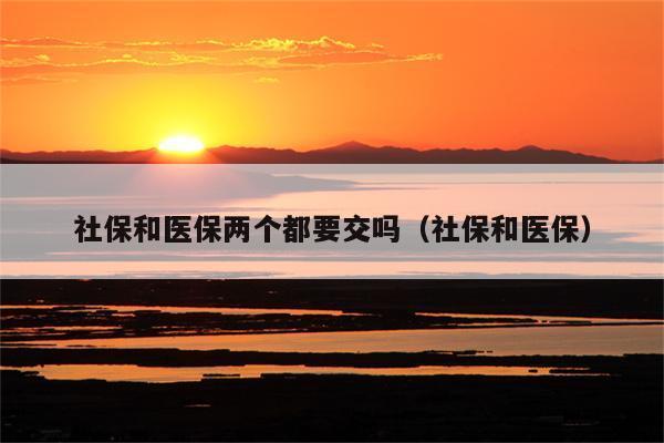社保和医保两个都要交吗？
