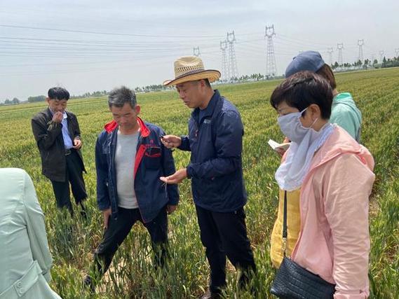 安华农业保险：助力乡村振兴的坚实后盾