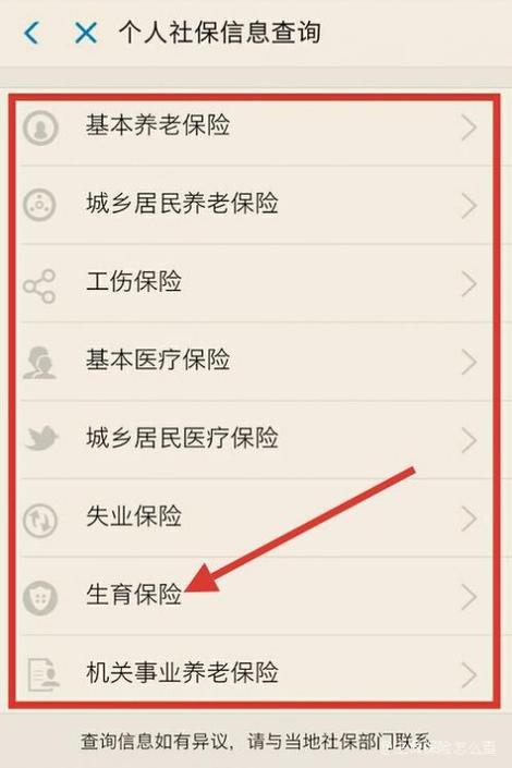 生育保险怎么查询个人账户？三种方法教你快速查询