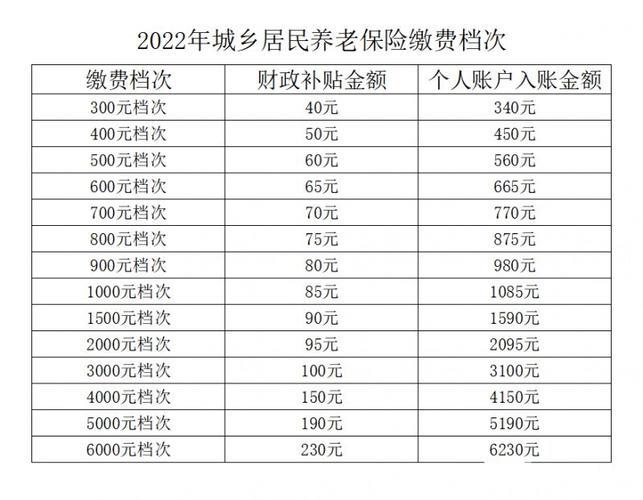 2023年企业养老保险缴费标准详解