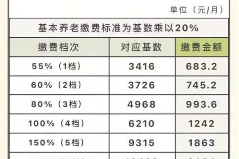 社保交费档位有几个？各档位缴费多少？