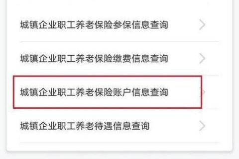 手机上怎么查询社保缴费年限？教你两种简单方法