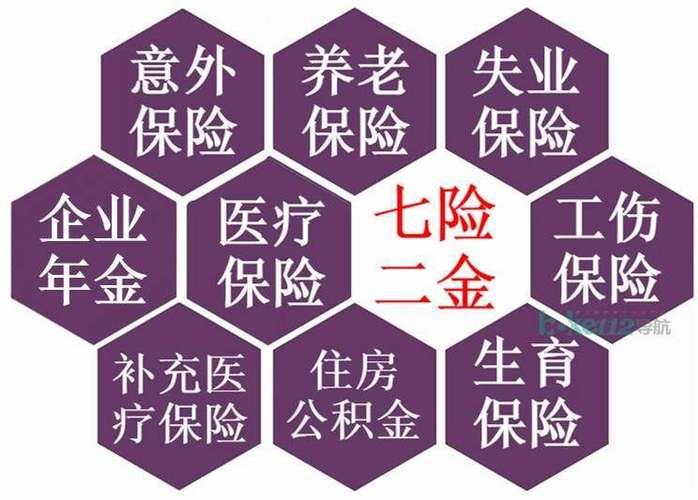 七险两金是哪些？全解析