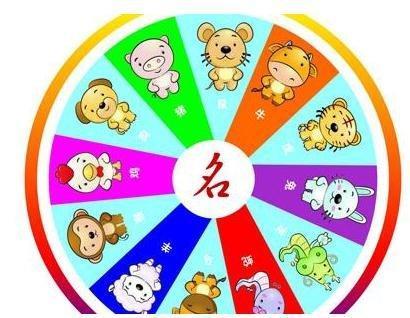 险代表什么生肖？