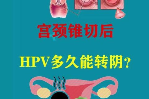 宫颈锥切手术费用多少钱？