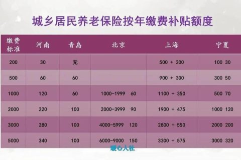 农村养老金每月多少？2024年最新标准解析