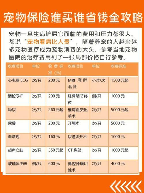 宠物保险一年多少钱？