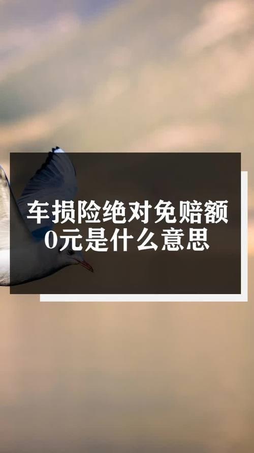 车损险绝对免赔额0元是什么意思？