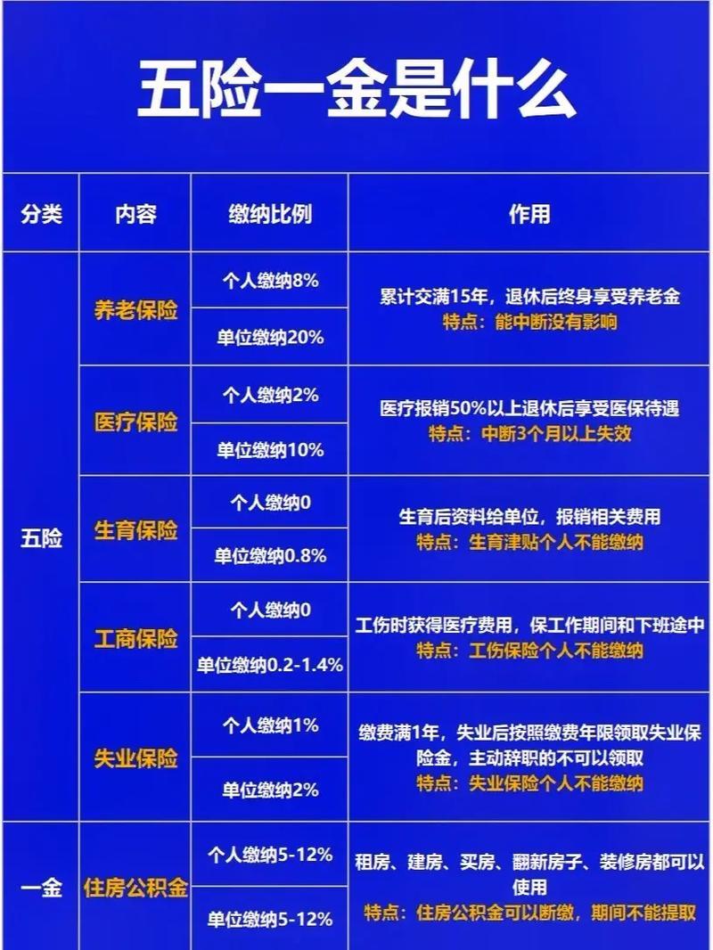 如何交养老保险？