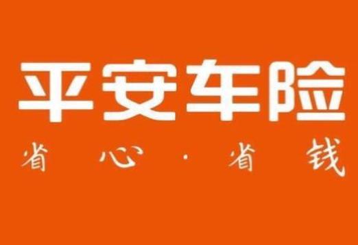 95511平安车险：您的贴心出行守护者
