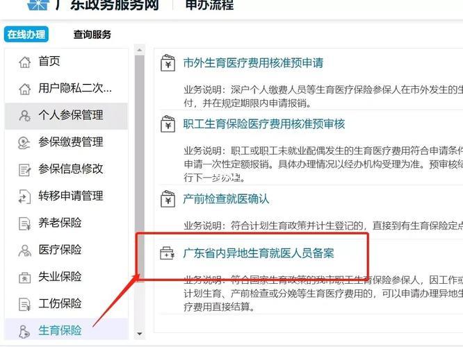 生育险忘了备案怎么办？