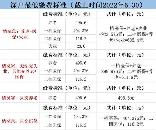 深圳市社保个人缴费：如何参保、缴费及办理相关业务？