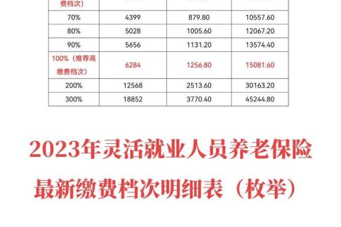 灵活就业人员如何缴纳社保？