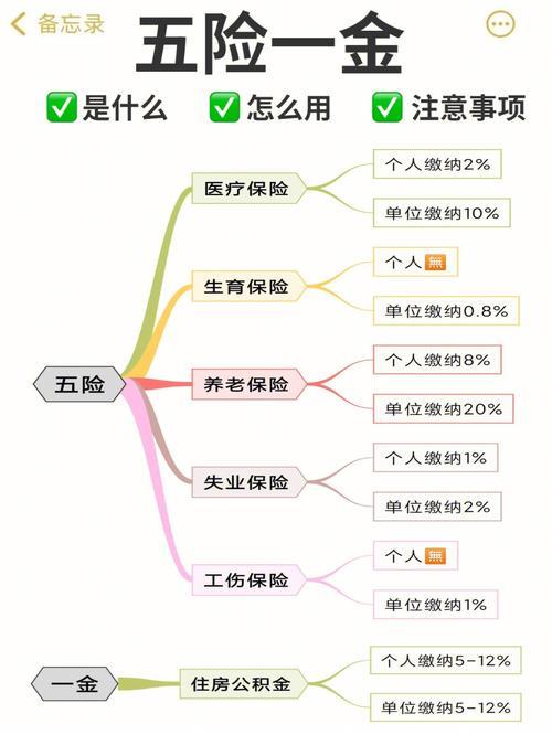 五险一金：保障劳动者权益的社会福利制度