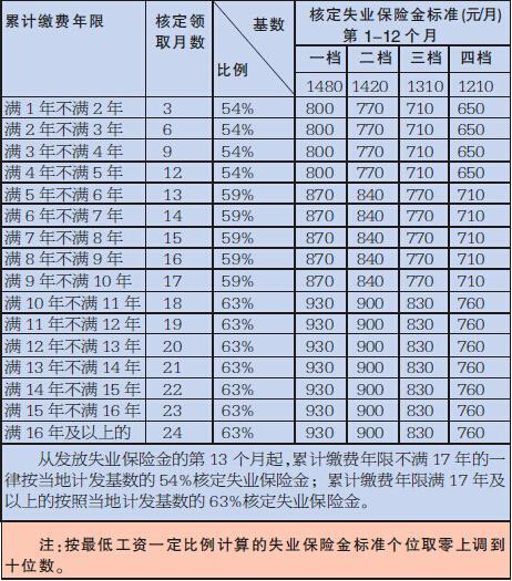 失业保险金能领多少钱？一文解析领取金额与条件