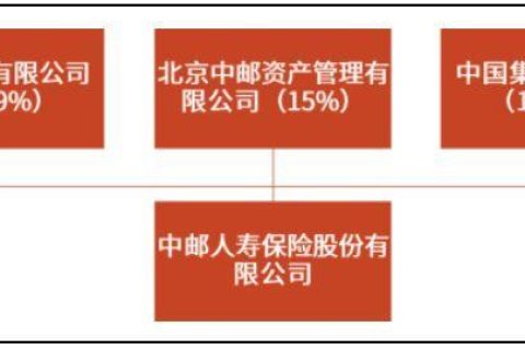 保险公司：国有、民营，还是混合？