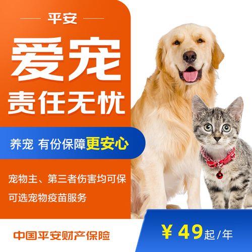 中国平安宠物保险：为爱宠健康保驾护航
