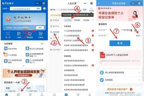 手机缴养老保险：便捷途径一览